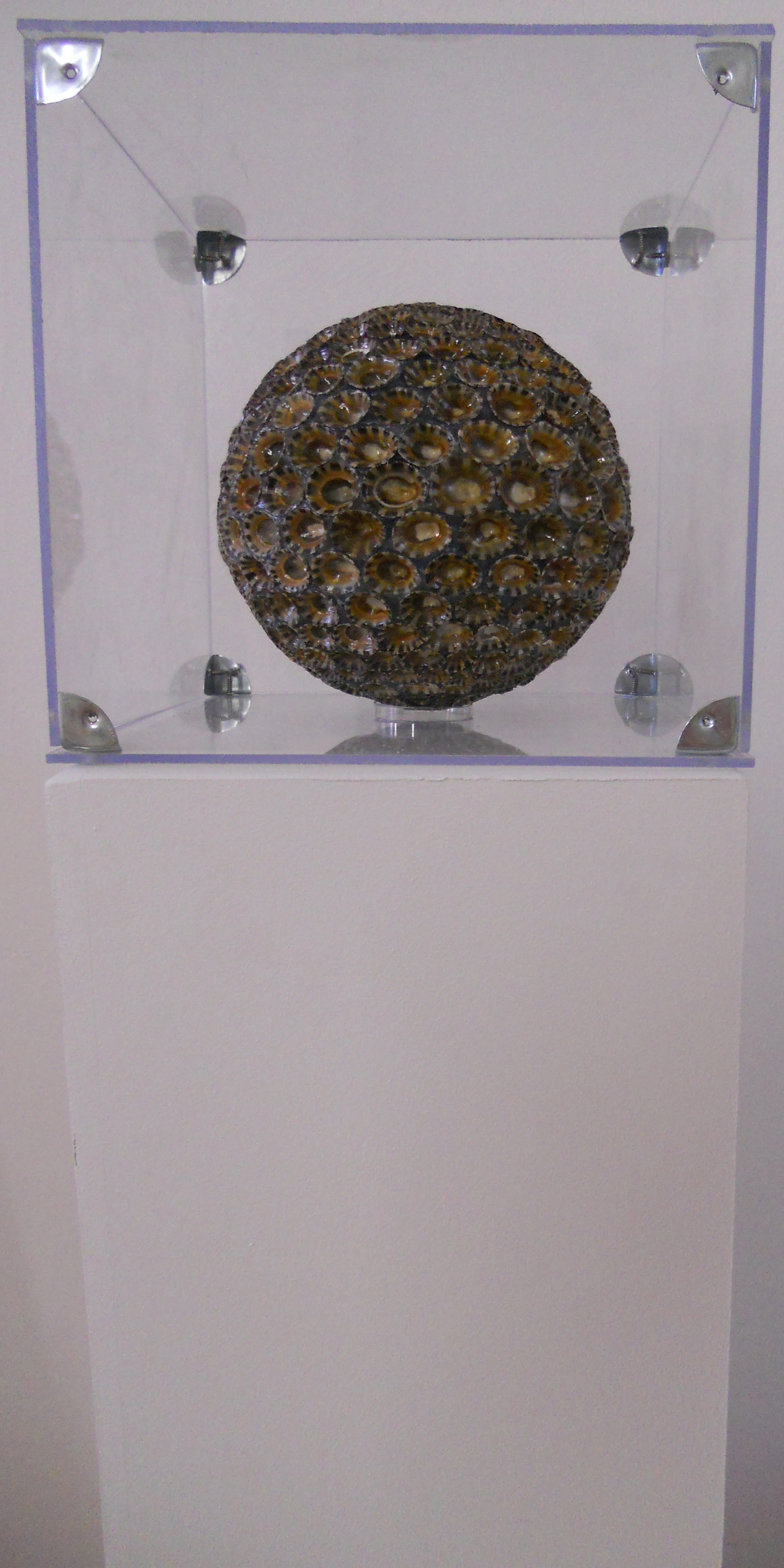 MW 10 (Hohe Aufl&ouml;sung)